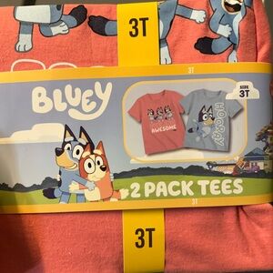 Bluey Kids Short Sleeve T-Shirts - Red and Gray 2 Pack